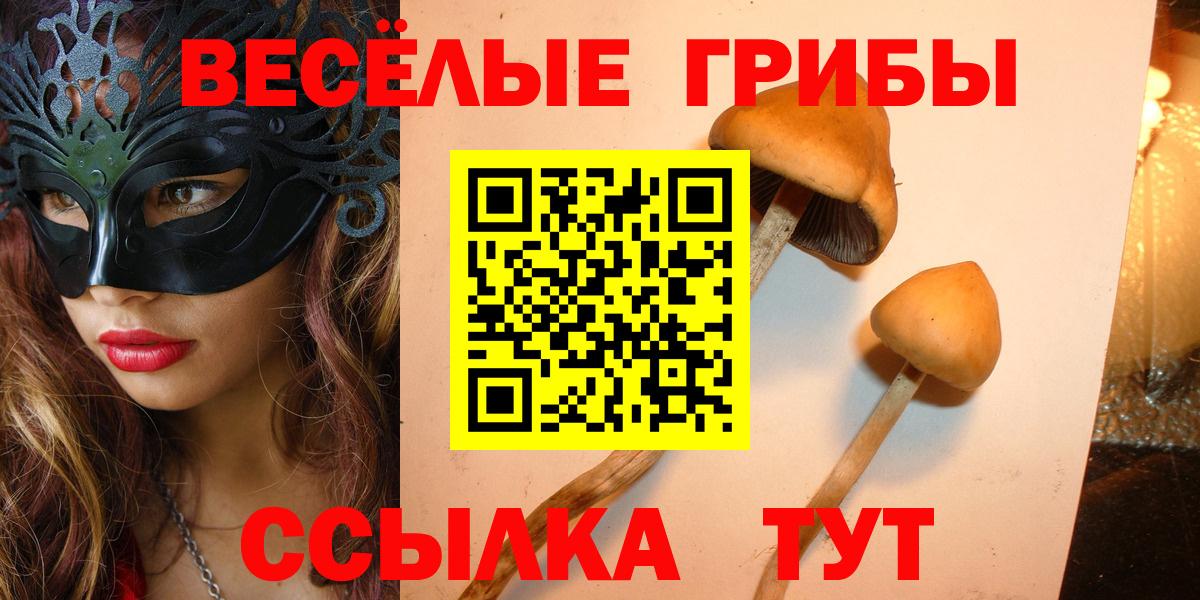 Клинцы  Галлюциногенные грибы мицелий  Вход с VPN 
